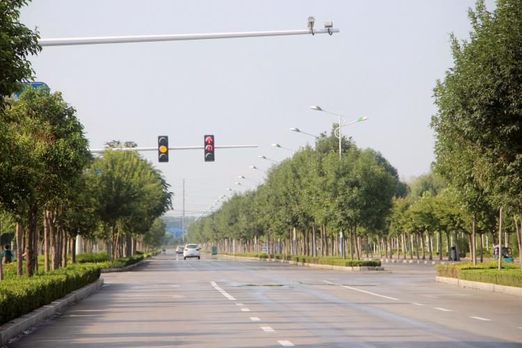 110.jpg